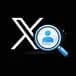 X.com Profiles Scraper