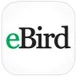 eBird Bird Observations Scraper
