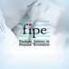FIPE Brazil Vehicle Prices Scraper