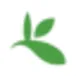 GBIF Species Taxonomy Scraper