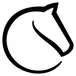 Lichess Chess Users Scraper