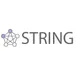 STRING Protein Interactions Scraper