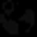IP Geolocation Scraper