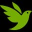 iNaturalist Observations Scraper