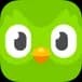 Duolingo Language Data Scraper
